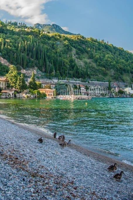 Alloggio Con Idromassaggio E Super Vista Nave San Felice المظهر الخارجي الصورة